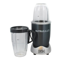 Preview: NUTRIBULLET Original