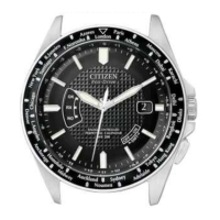 Preview: Citizen H145