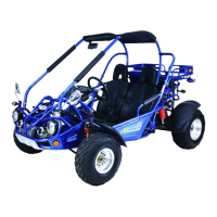 Preview: TrailMaster 300xrx