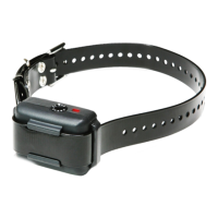 Preview: Dogtra YS500