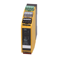 Preview: IFM Electronic G1501S