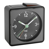 Preview: TFA 60.1013