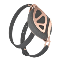 Preview: Bellabeat Leaf