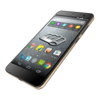 Preview: Micromax E313