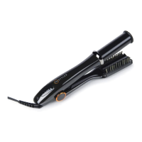 Preview: InStyler MAX