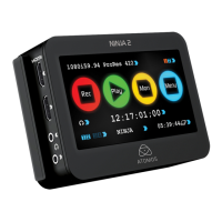 Preview: Atomos Ninja-2