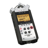 Preview: Zoom H4N