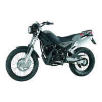 Preview: RIEJU TANGO 250