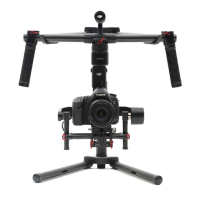 Preview: dji RONIN-M