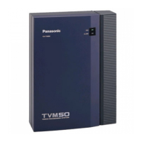 Preview: Panasonic KX-TVM50