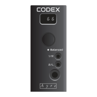 Preview: Codex Ayre
