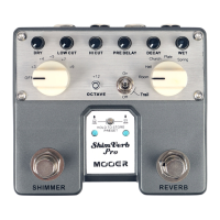 Preview: Mooer ShimVerb Pro