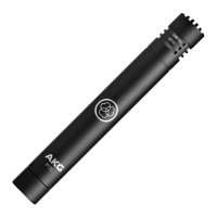 Preview: AKG P170