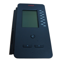 Preview: Avaya BM12
