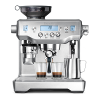 Preview: Breville the Oracle BES980