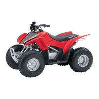 Preview: Honda 2009 TRX90X
