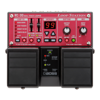 Preview: Boss RC-30