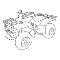 Preview: Honda TRX250TM FOURTRAX RECON 2004