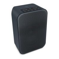Preview: Bluesound Pulse Flex
