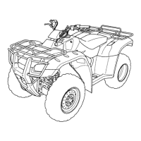 Preview: Honda 2004 TRX350FM