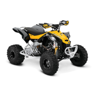 Preview: Can-Am 2009 DS 450