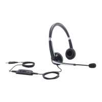 Preview: Dell UC300