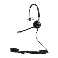 Preview: Jabra BIZ 2400 II