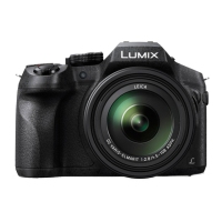 Preview: Panasonic Lumix DMC-FZ300