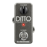 Preview: TC Electronic Ditto