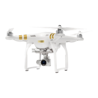 Preview: dji PHANTOM 3 PROFESSIONAL