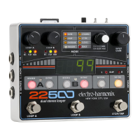 Preview: Electro-Harmonix 22500