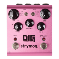 Preview: Strymon DIG