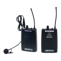 Preview: VocoPro Silent PA