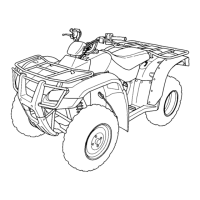 Preview: Honda TRX250TE Fourtrax
