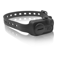 Preview: IQ No Bark Collar