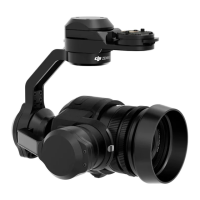 Preview: dji Zenmuse X5