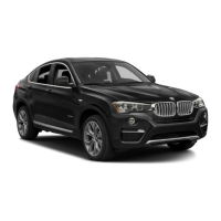 Preview: BMW X4