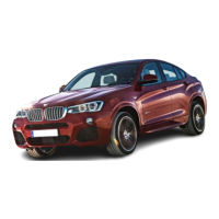 Preview: BMW X4