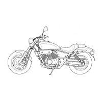 Preview: Honda VT250C V-Twin Custom