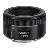 Preview: Canon EF50mm 1/1.8 /I