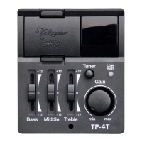 Preview: Takamine TP-4T