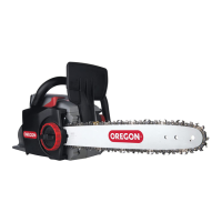 Preview: Oregon CS300