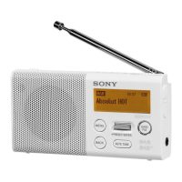 Preview: Sony XDR-P1DBP