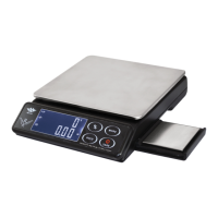 Preview: My Weigh Maestro