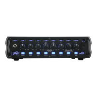 Preview: Peavey Mini MEGA