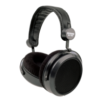 Preview: HiFiMAN HE-500