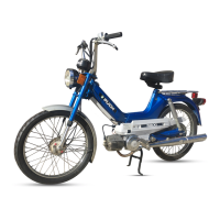 Preview: Puch Maxi