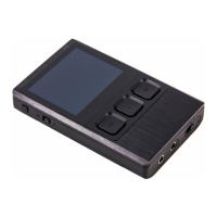 Preview: iBasso DX90