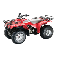 Preview: Honda 2000 TRX300FW