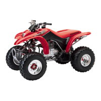 Preview: Honda TRX250EX Sportrax250EX